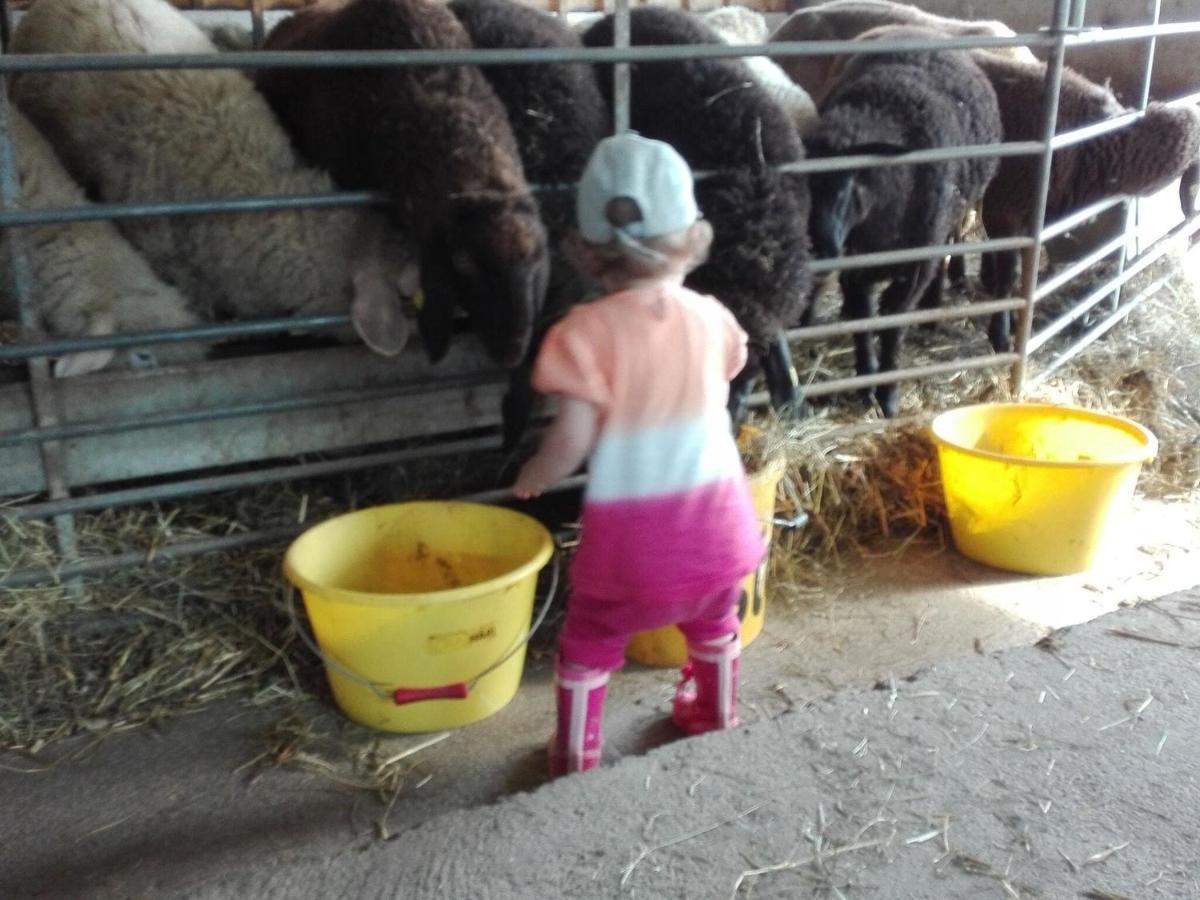 Holiday On An Organic Farm In Hart Im Zillertal Hart im Zillertal Exterior foto