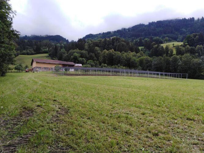 Holiday On An Organic Farm In Hart Im Zillertal Hart im Zillertal Exterior foto
