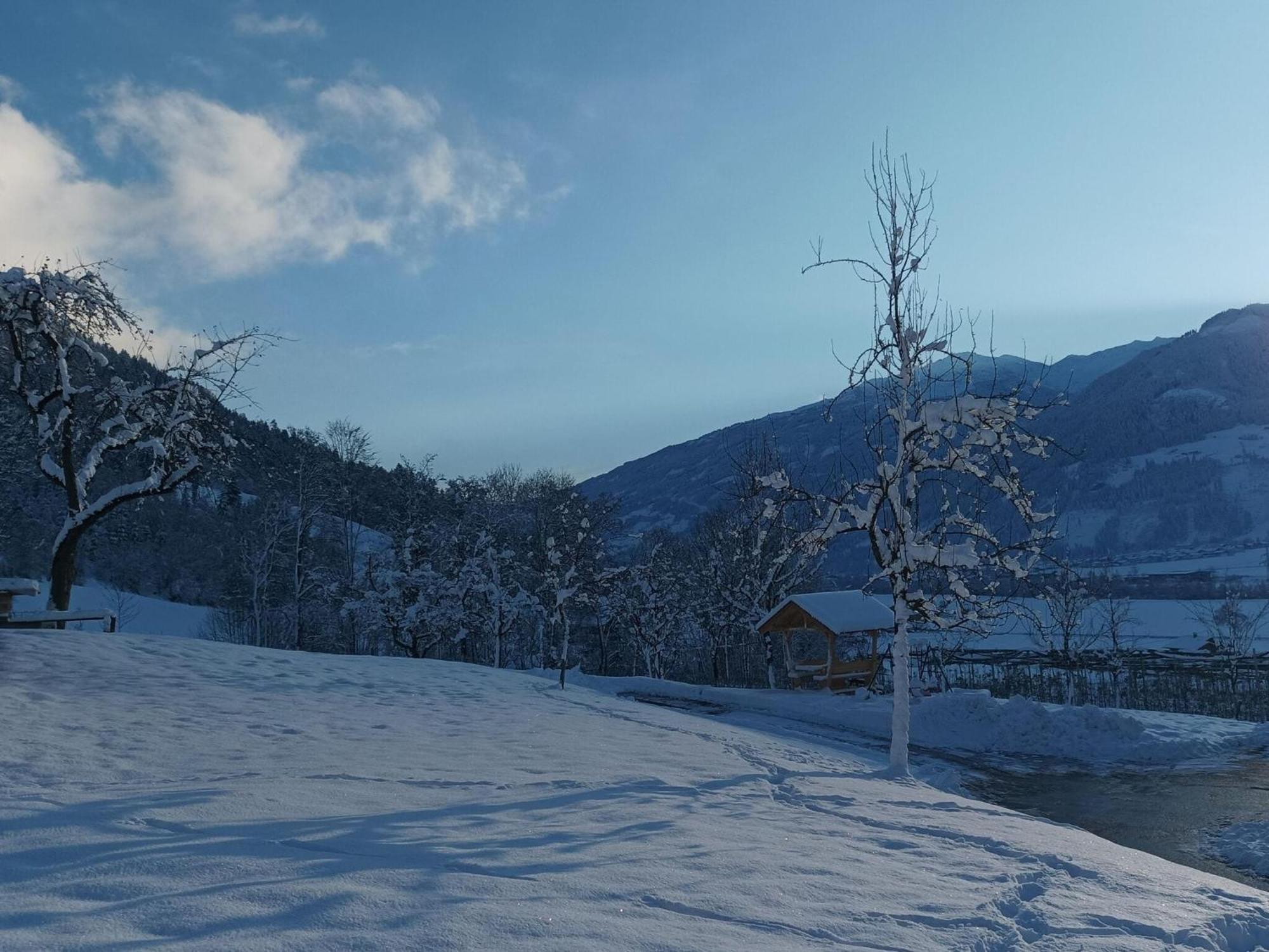 Holiday On An Organic Farm In Hart Im Zillertal Hart im Zillertal Exterior foto